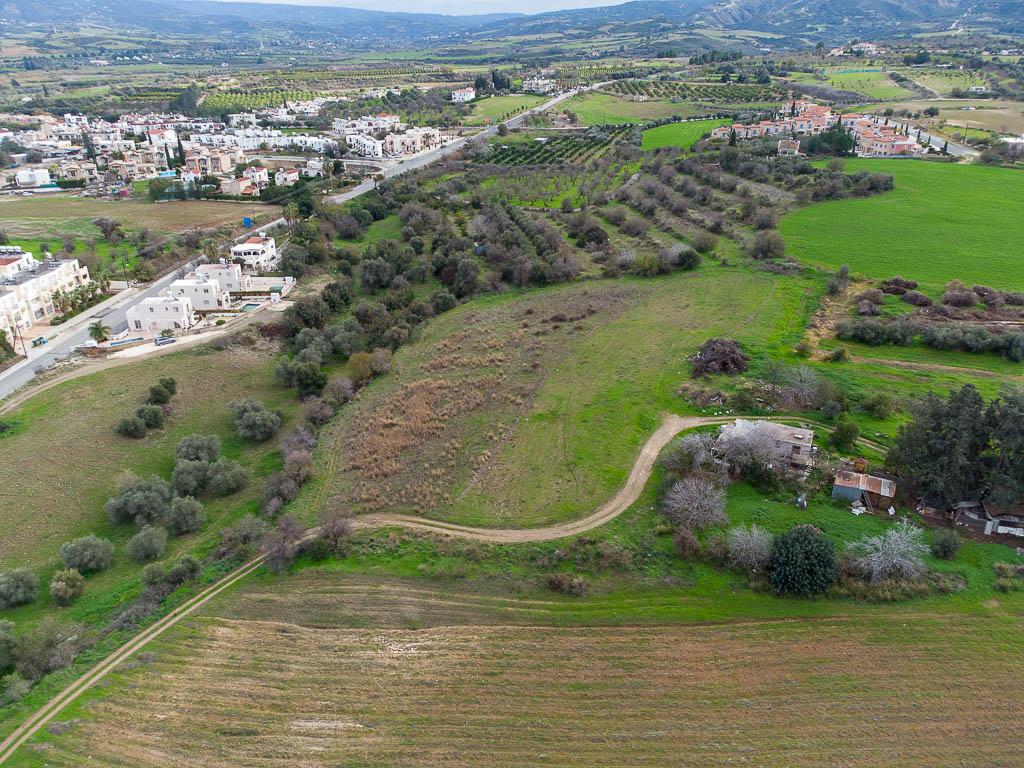 Field - Prodromi, Polis Chrysochous