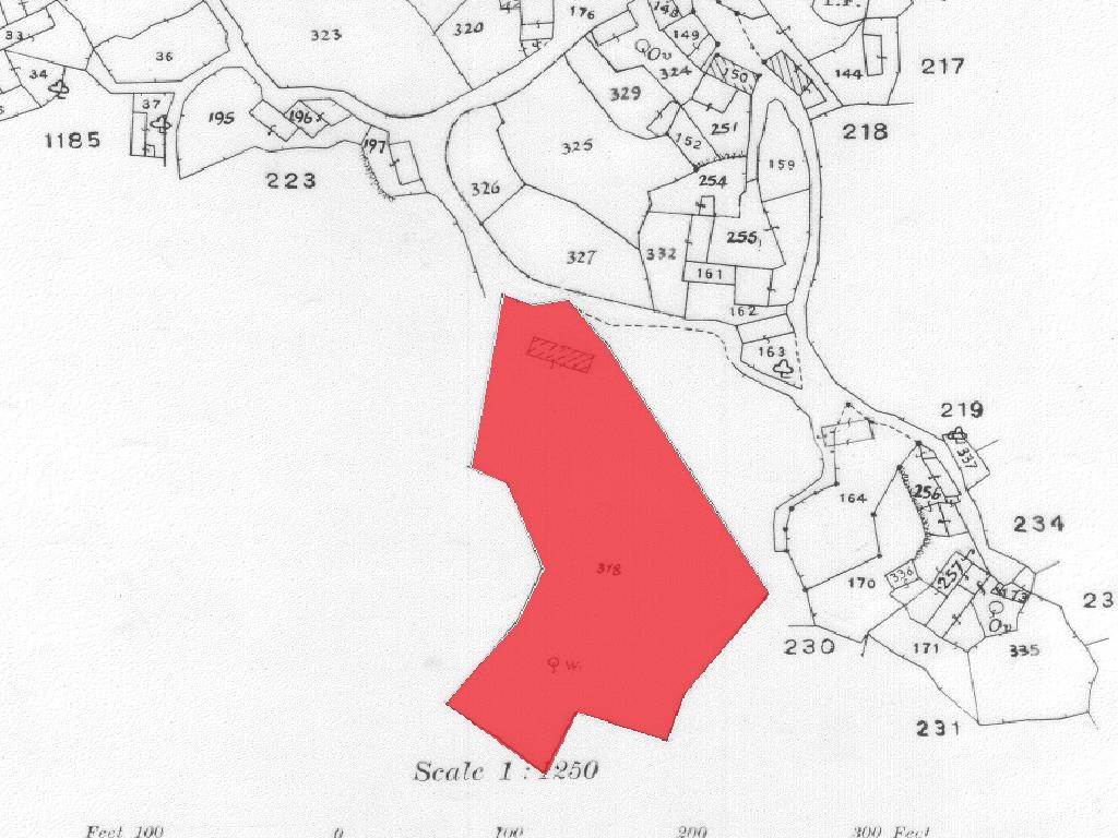 Field-Pigenia-PR35167