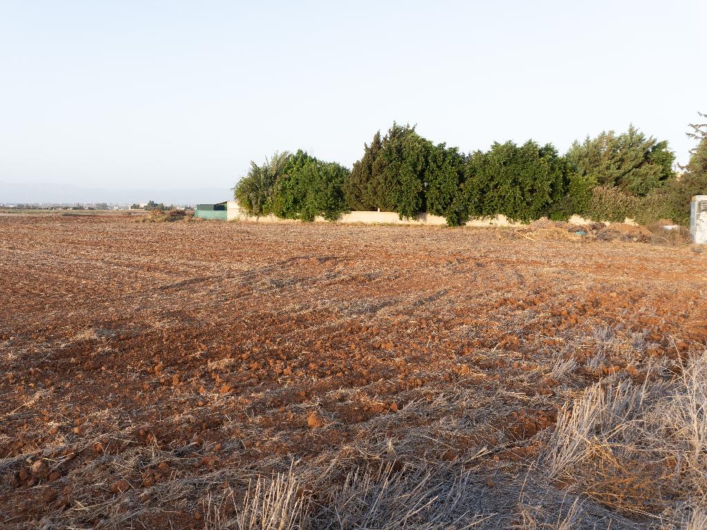 Field-Paleometocho-PR34463