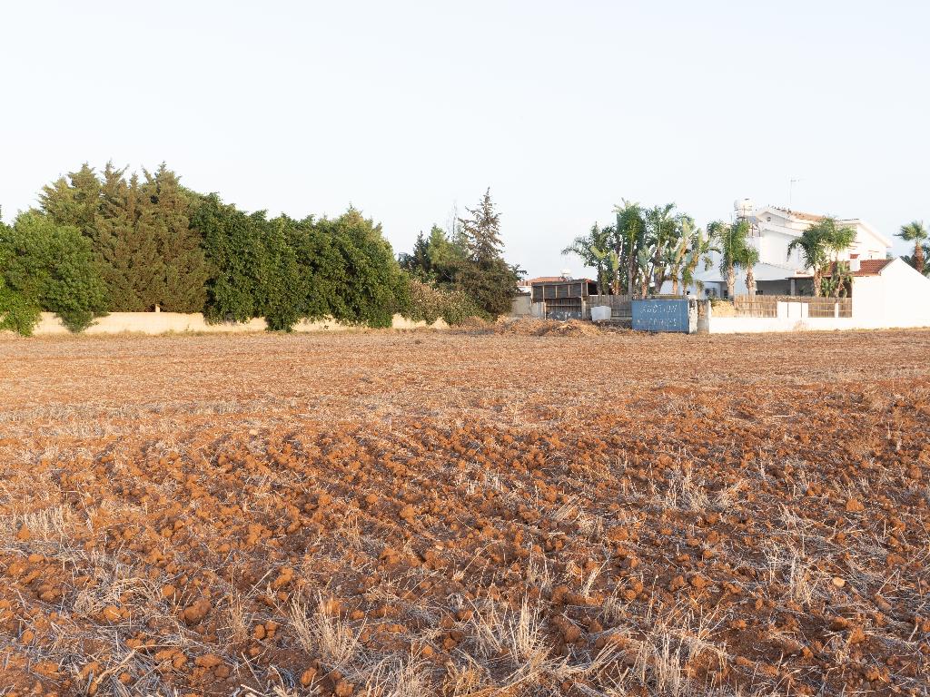 Field (Share) - Paleometocho, Nicosia
