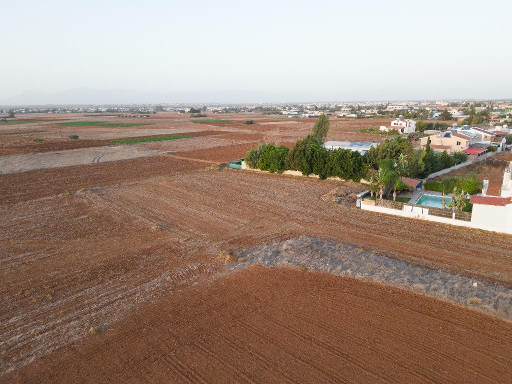 Field (Share) - Paleometocho, Nicosia