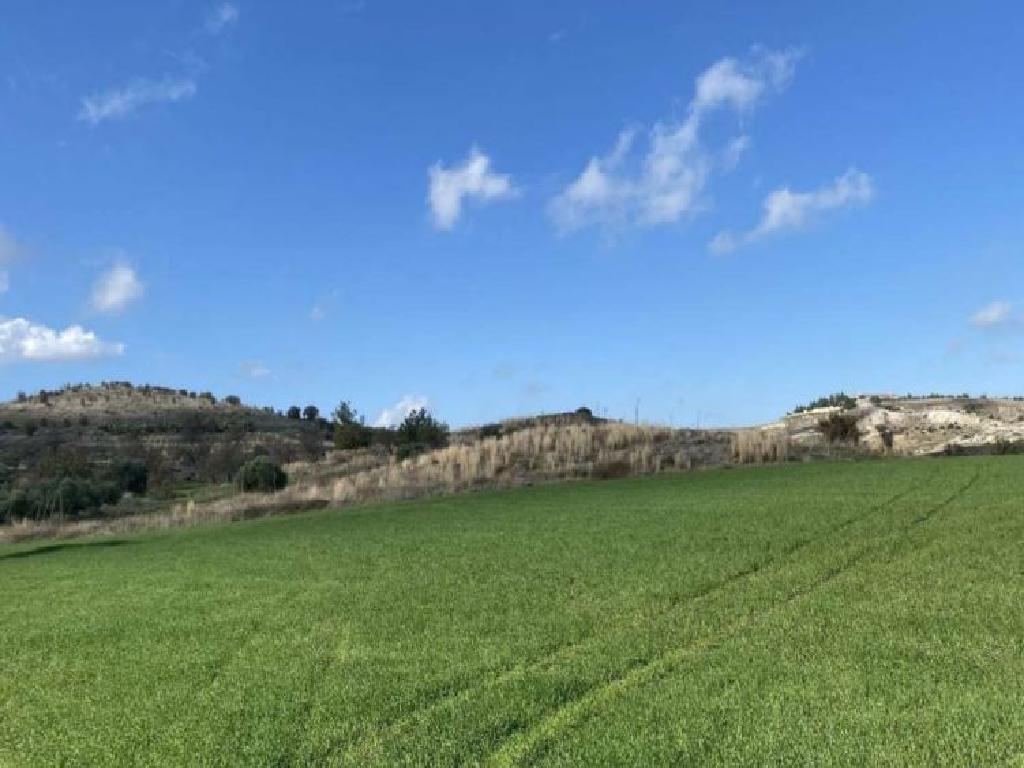 Field-Analiontas-PR35790