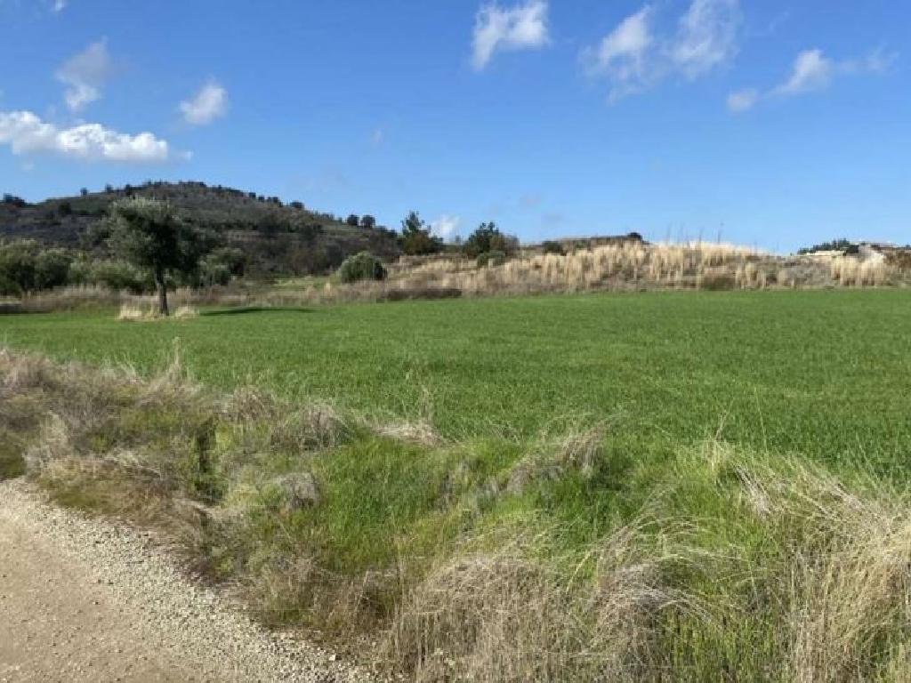 Field-Analiontas-PR35790