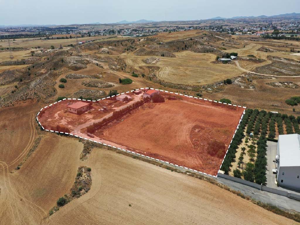 Field-Pano Deftera-PR36126