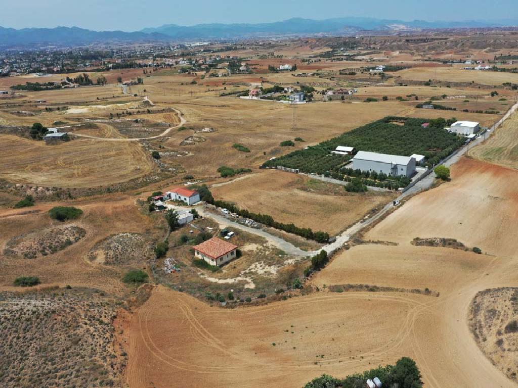 Field-Pano Deftera-PR36126
