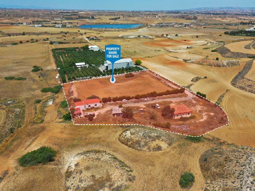Field-Pano Deftera-PR36126