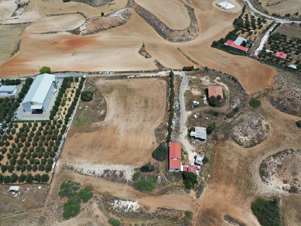 Field-Pano Deftera-PR36126