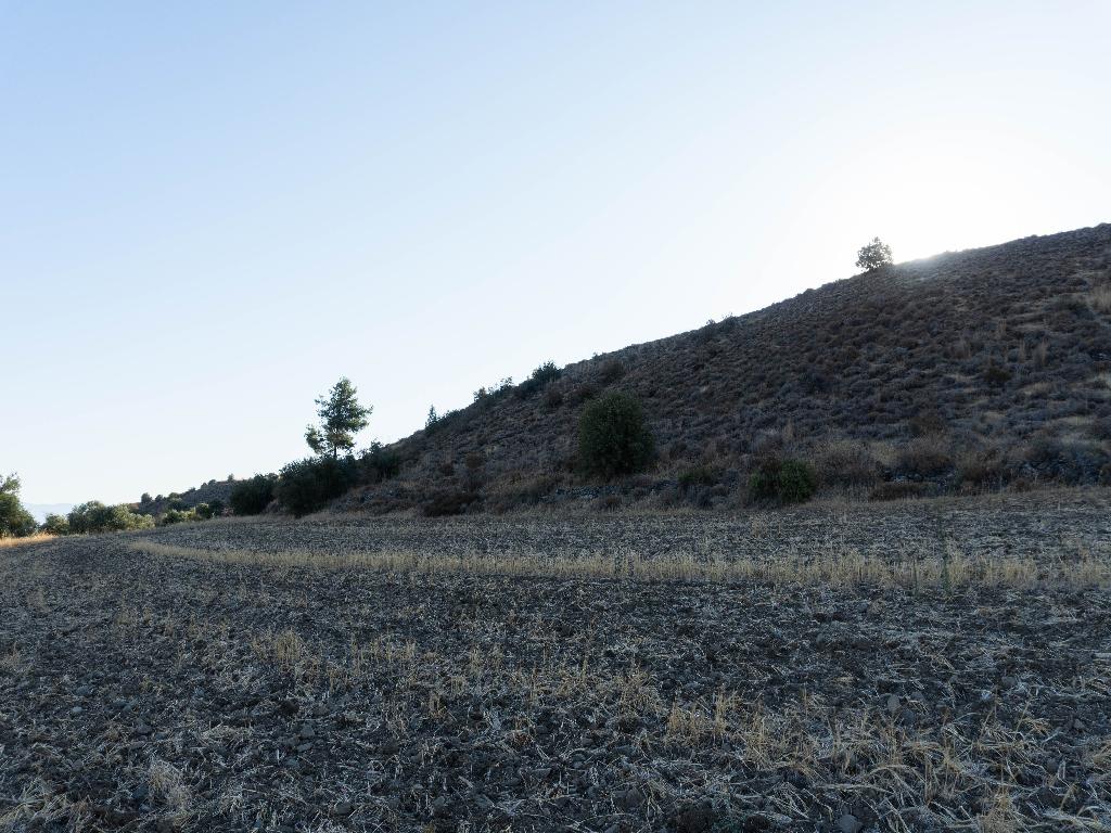 Field-Kato Moni-PR38546
