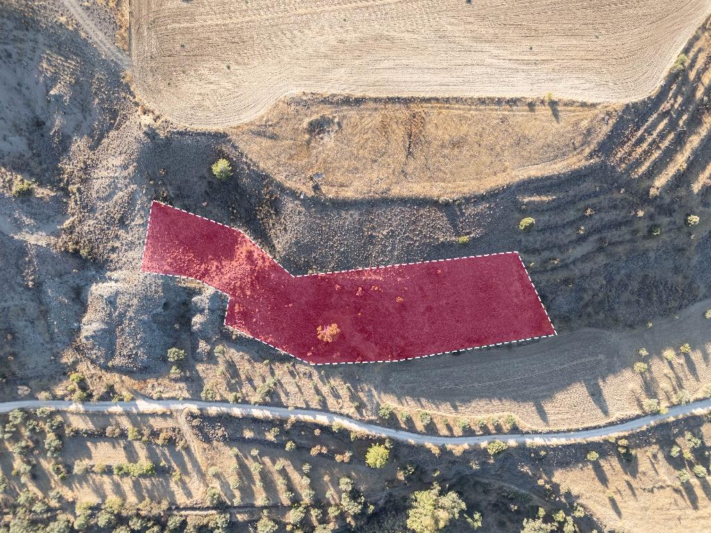 Field-Kato Moni-PR38546