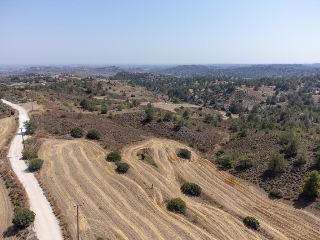 Field - Klirou, Nicosia