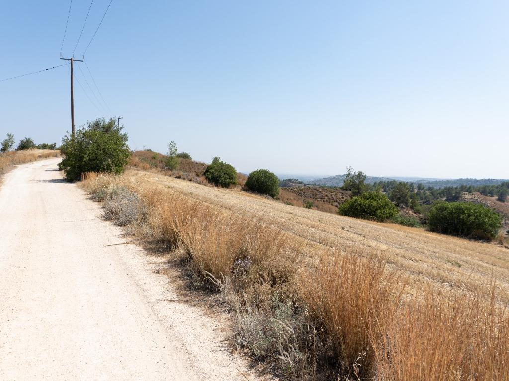 Field - Klirou, Nicosia