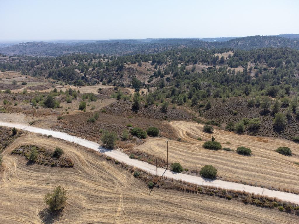 Field - Klirou, Nicosia