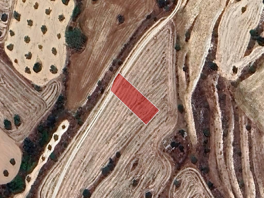 Field-Agia Varvara-PR39117