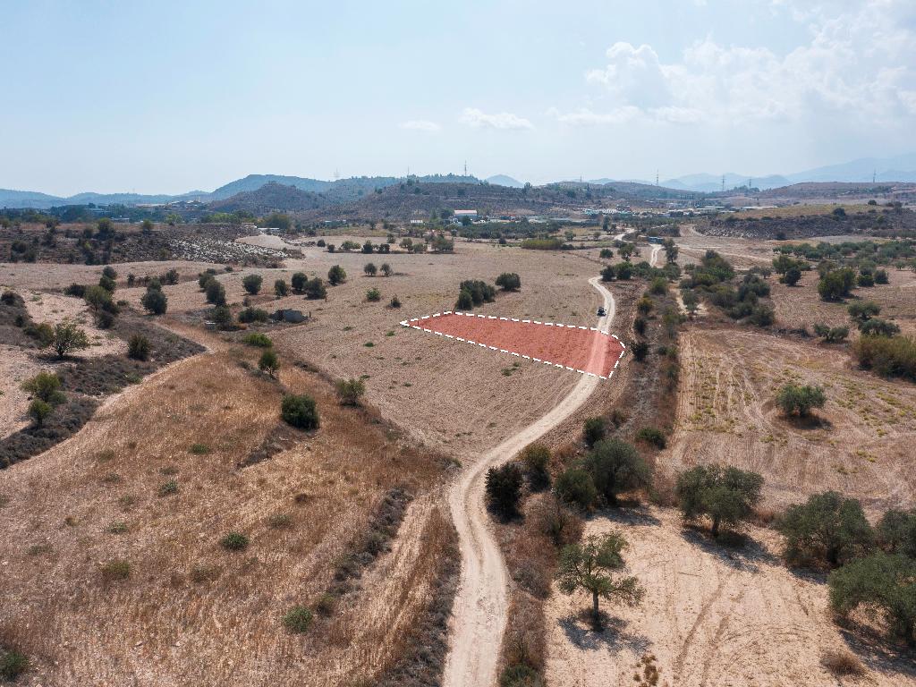 Field-Agia Varvara-PR39117