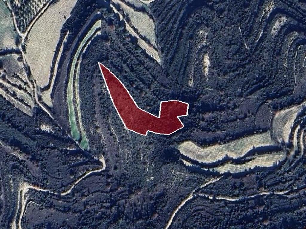 Field-Pachna-PR39664