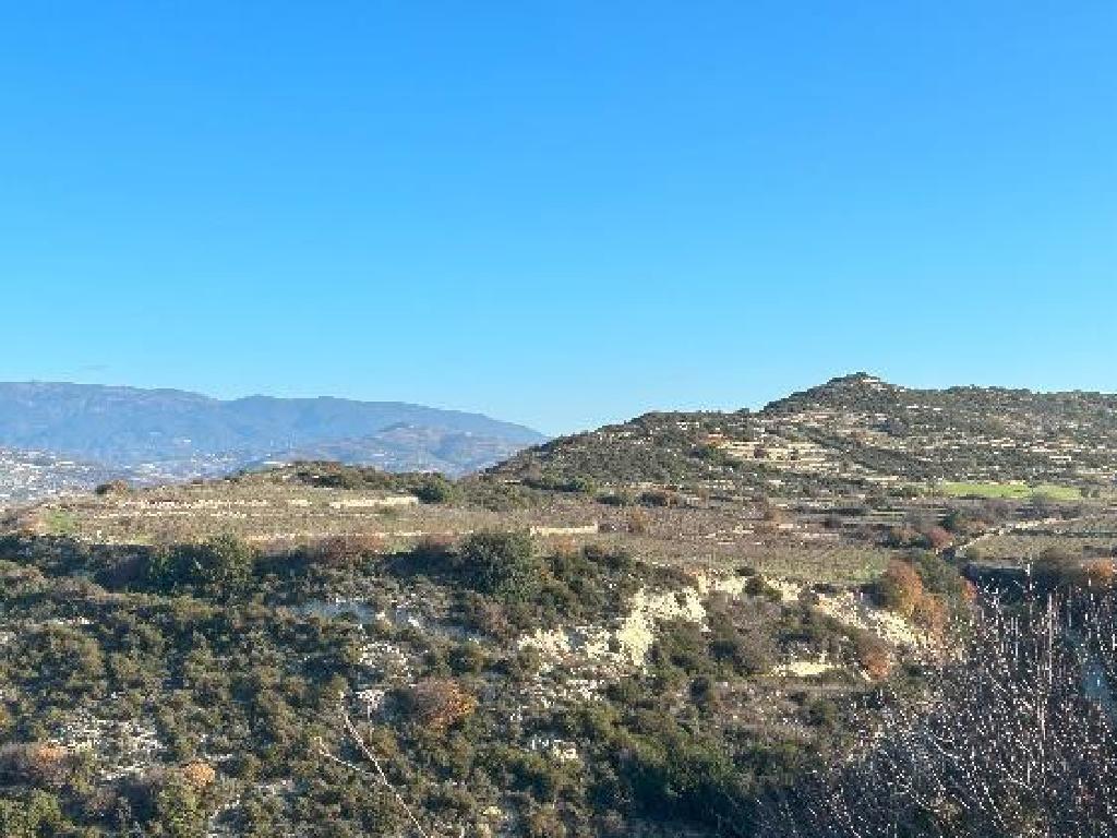 Field-Pachna-PR39664