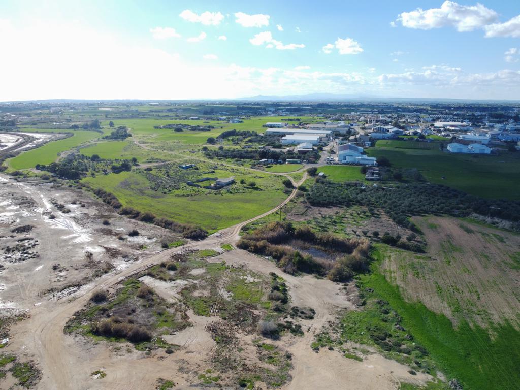 Field (Share) - Deryneia Municipality, Famagusta