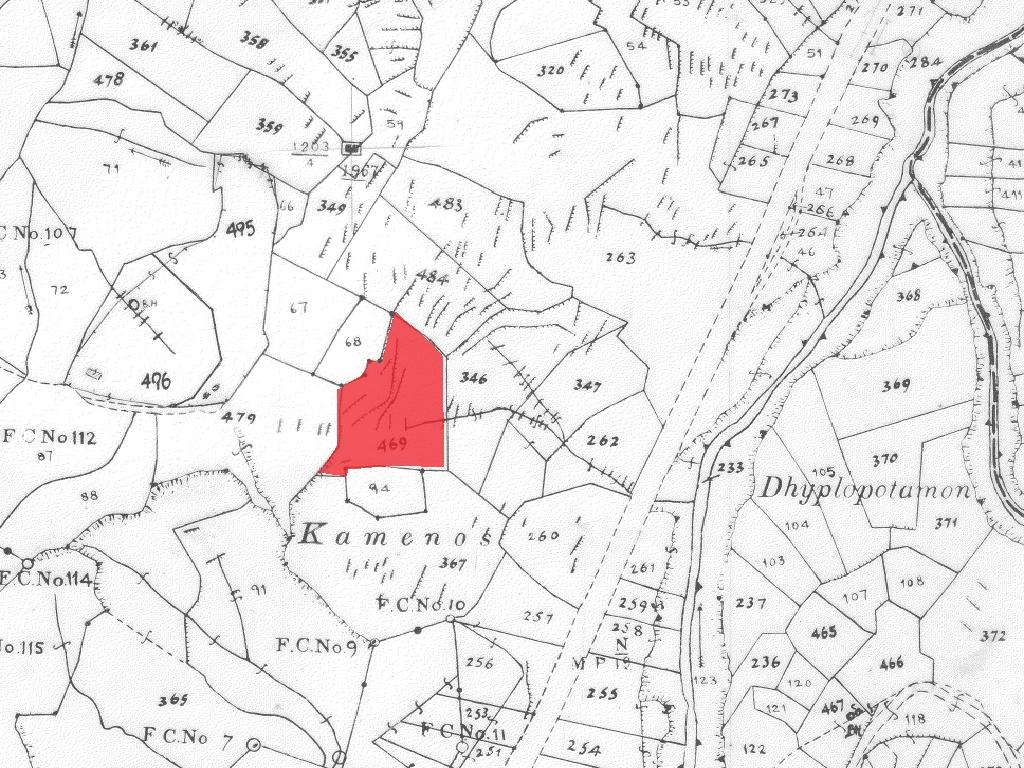 Field-Agios Epifanios (Oreinis)-PR41753