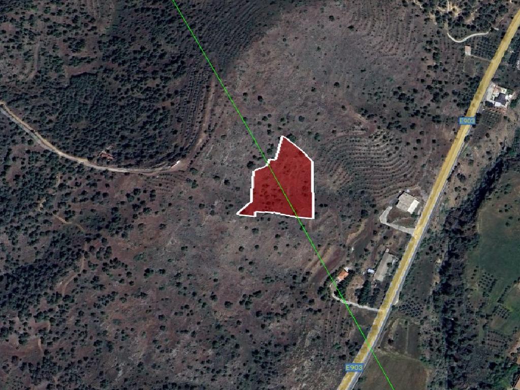 Field-Agios Epifanios (Oreinis)-PR41753