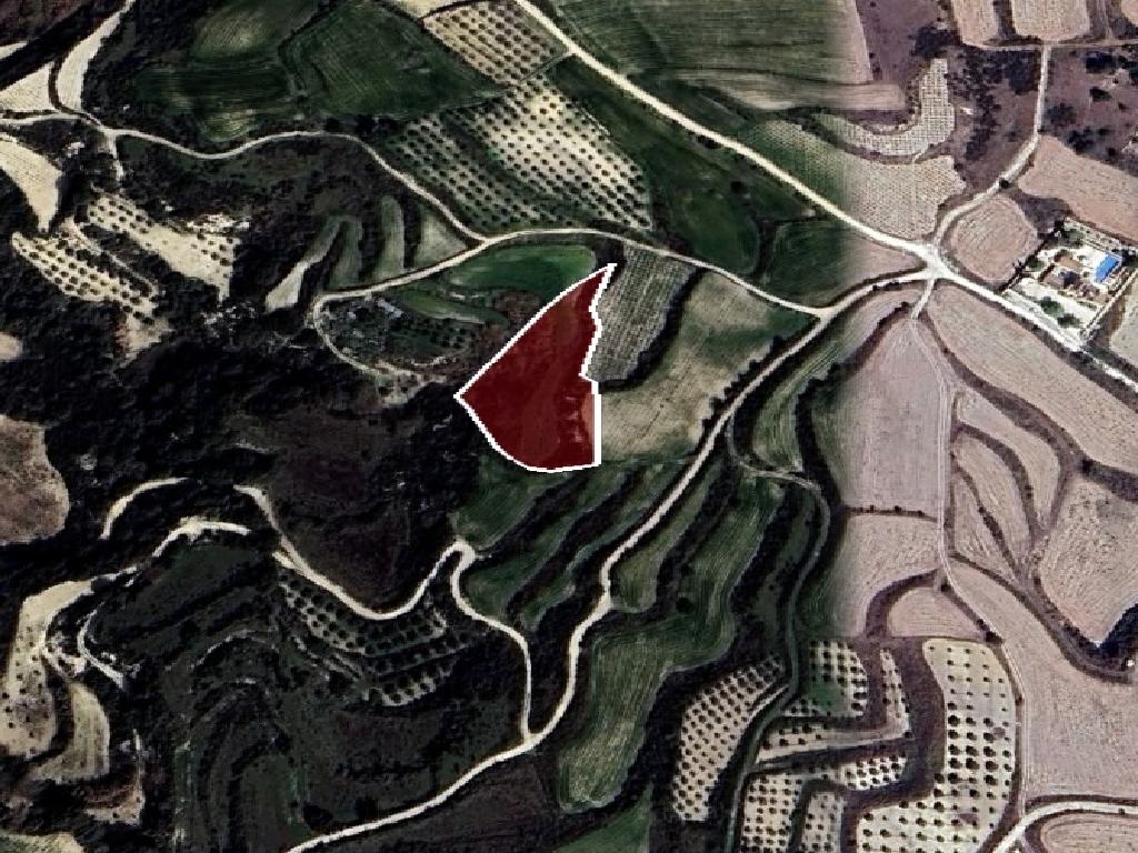 Field-Stroumpi-PR43145