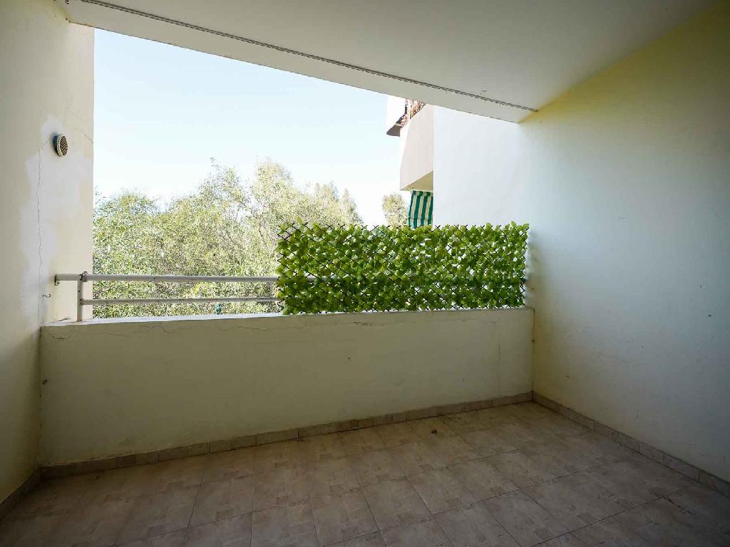 &Delta;&iota;&alpha;&mu;έ&rho;&iota;&sigma;&mu;&alpha;-&Delta;ή&mu;&omicron;&sigmaf; &Lambda;&epsilon;&upsilon;&kappa;&omega;&sigma;ί&alpha;&sigmaf;-PR44864