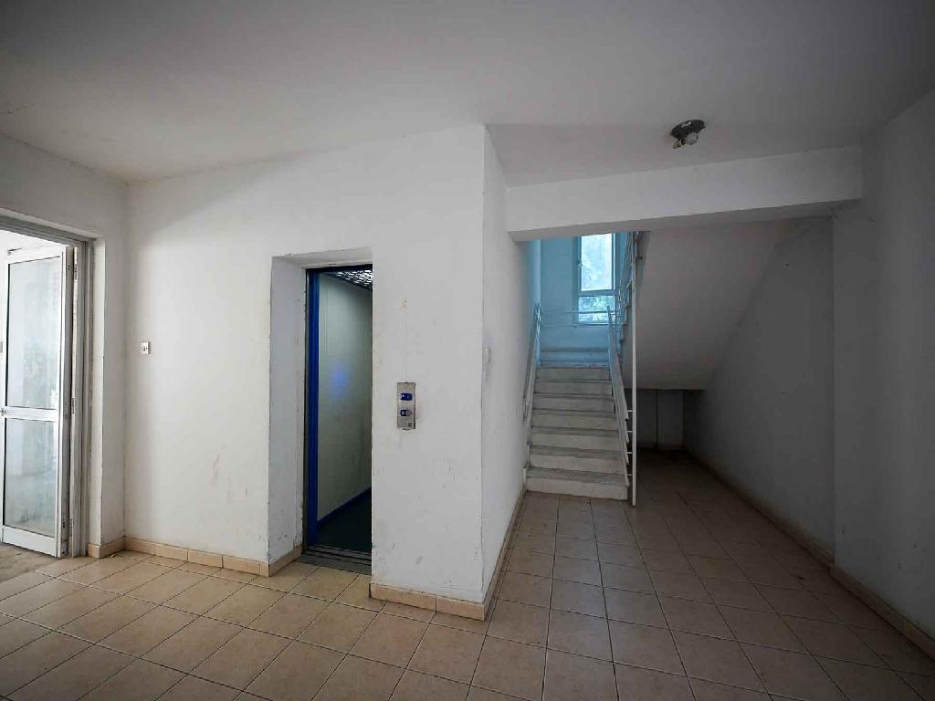 &Delta;&iota;&alpha;&mu;έ&rho;&iota;&sigma;&mu;&alpha;-&Delta;ή&mu;&omicron;&sigmaf; &Lambda;&epsilon;&upsilon;&kappa;&omega;&sigma;ί&alpha;&sigmaf;-PR44864