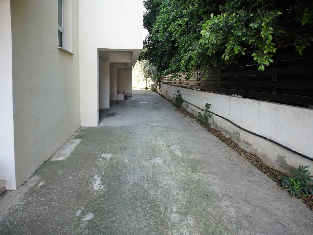 &Delta;&iota;&alpha;&mu;έ&rho;&iota;&sigma;&mu;&alpha;-&Delta;ή&mu;&omicron;&sigmaf; &Lambda;&epsilon;&upsilon;&kappa;&omega;&sigma;ί&alpha;&sigmaf;-PR44864