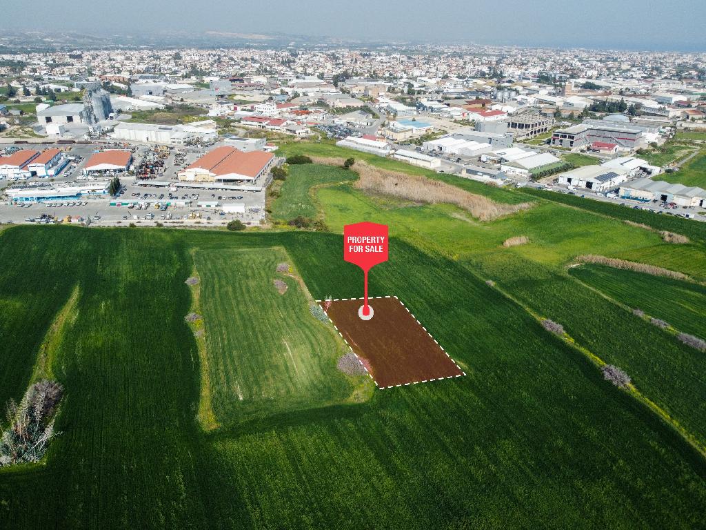 Field  - Aradippou, Larnaca