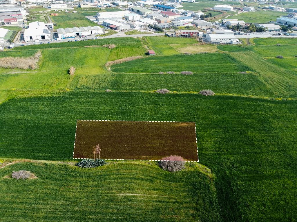 Field  - Aradippou, Larnaca