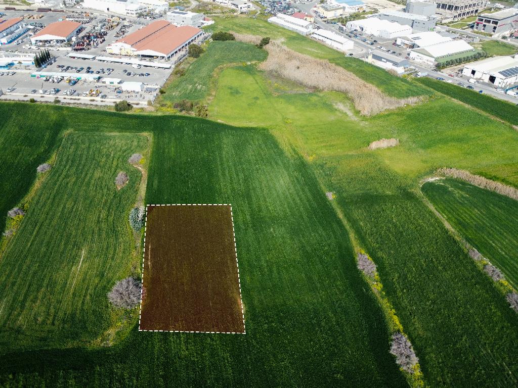 Field  - Aradippou, Larnaca