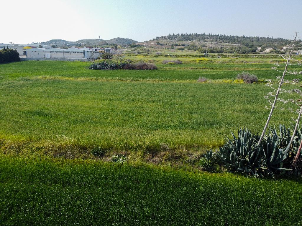 Field  - Aradippou, Larnaca