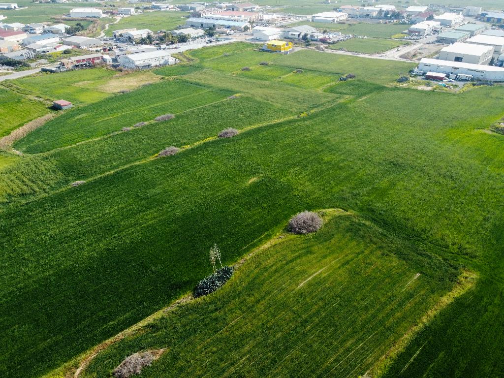 Field  - Aradippou, Larnaca