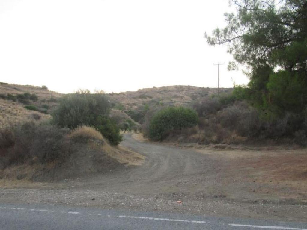Field-Pano Pyrgos-PR12541