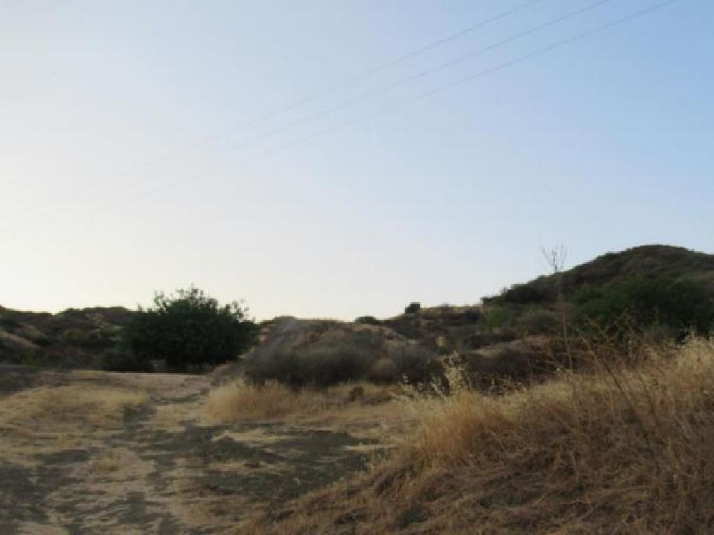 Field-Pano Pyrgos-PR12541