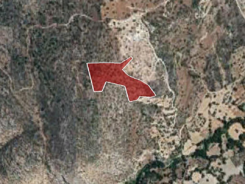 Field-Peristerona-PR32435