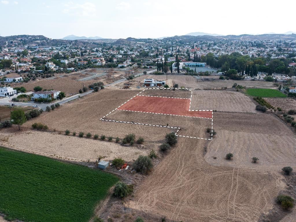 Field-Dali-PR33662