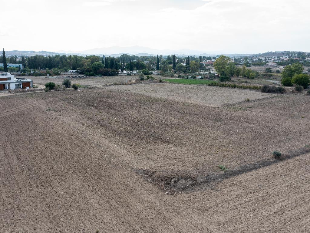 Field-Dali-PR33662