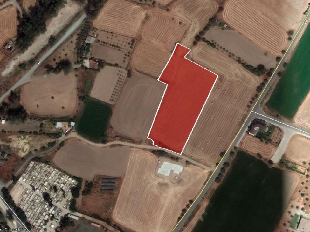 Field-Dali-PR33662