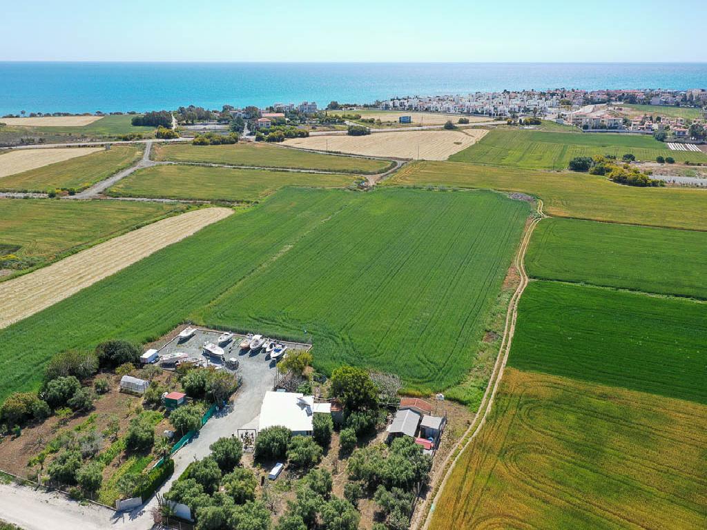 Field-Perivolia-PR33897