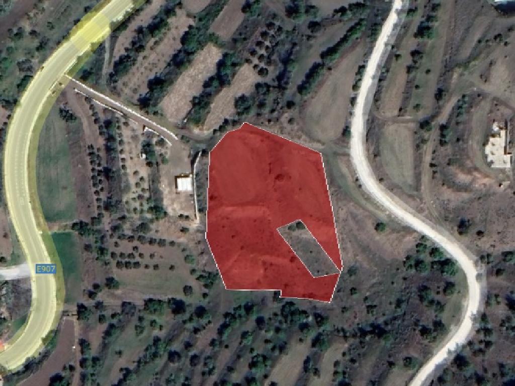 Field-Xsyliatos-PR37236