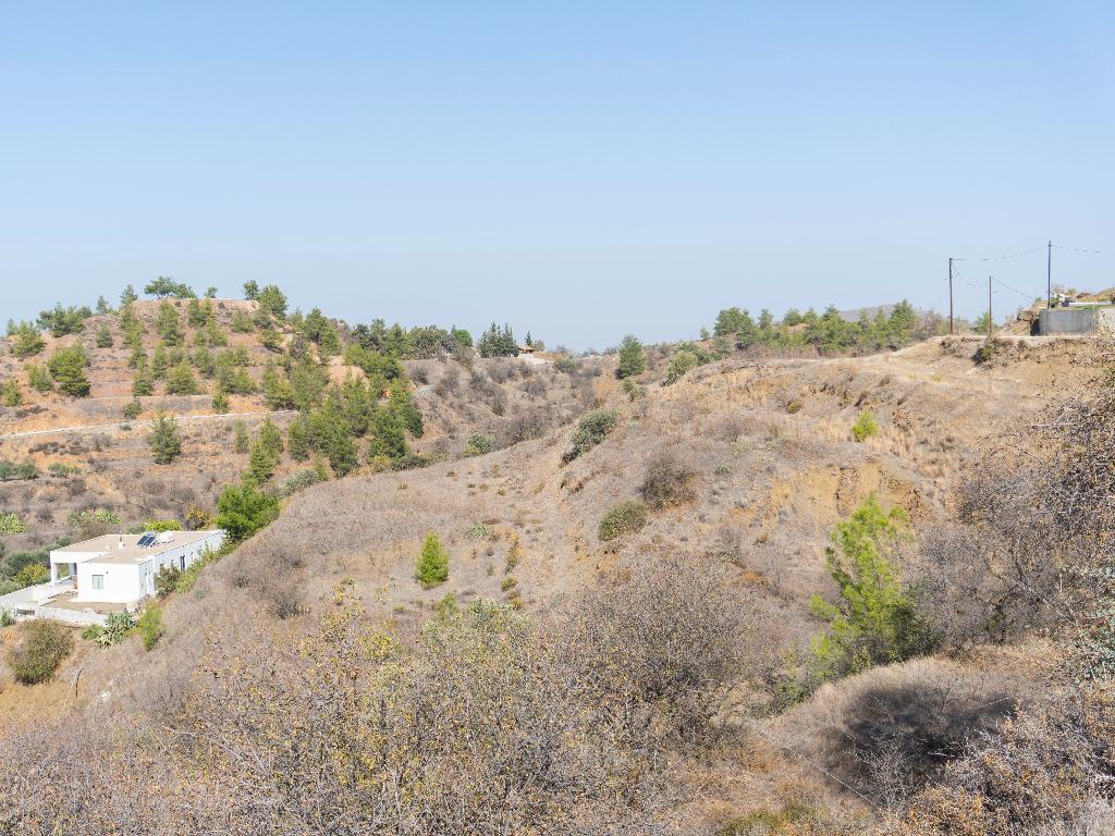 Field-Xsyliatos-PR37236