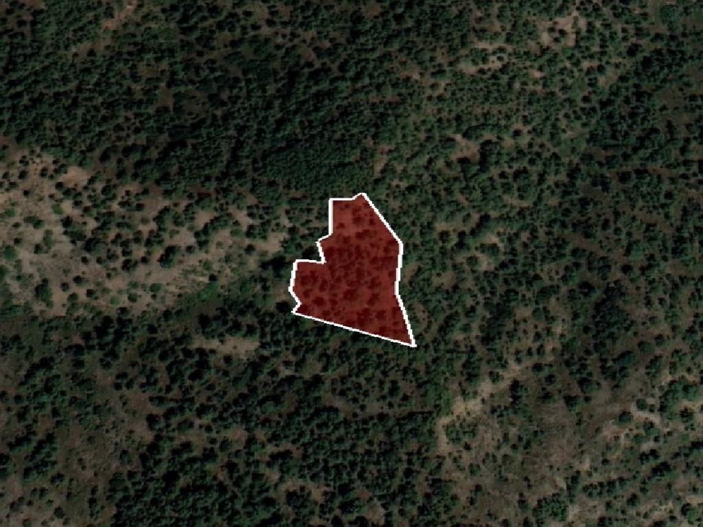 Field-Palaichori Orinis-PR39563