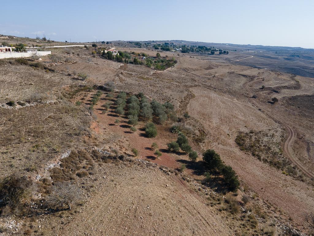 Field-Ineia-PR39795