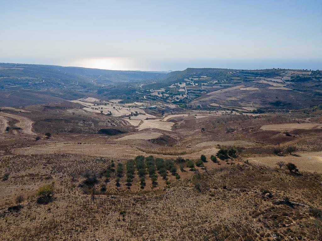 Field-Ineia-PR39795