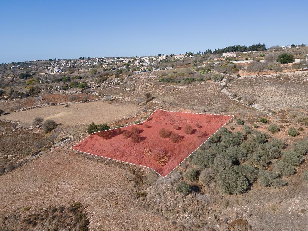 Field-Ineia-PR39795