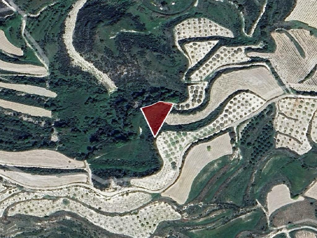 Field-Kallepeia-PR40076