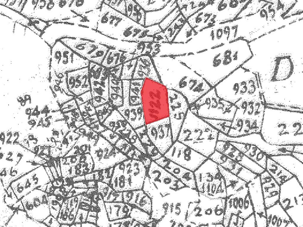 Field-Dierona-PR41234