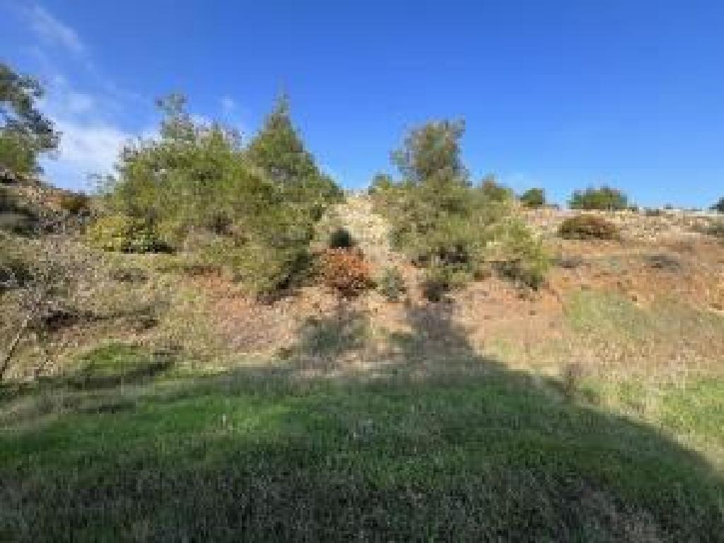 Field-Agios Epifanios (Oreinis)-PR41755