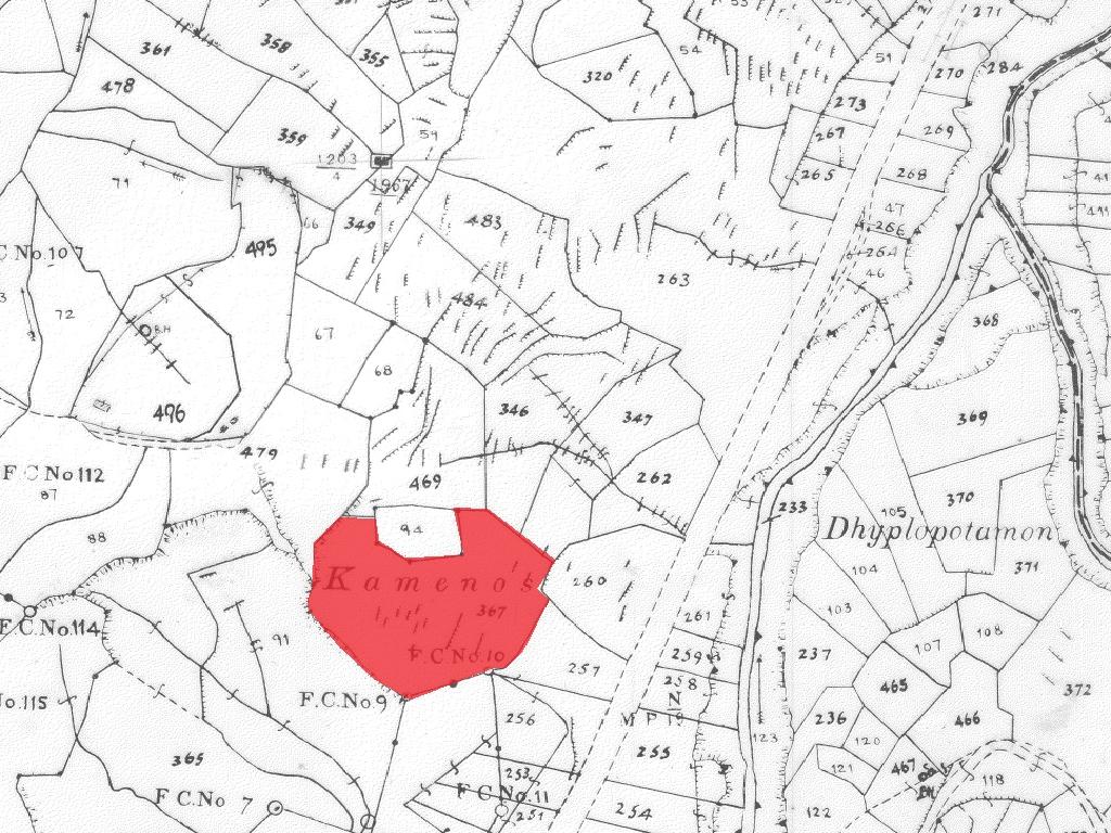 Field-Agios Epifanios (Oreinis)-PR41755