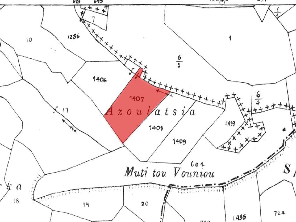 Field-Pomos-PR41834